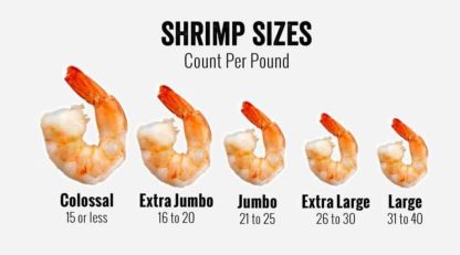 Shrimp sizes