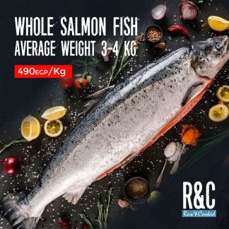 whole - salmon - fish - best - quality - buy now - R&C - Raw & Cooked -