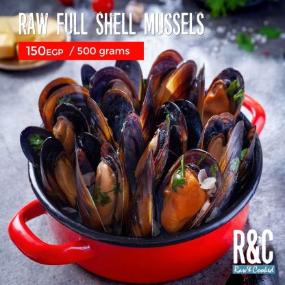 full - shell - mussels - Seafood lovers - the - best - quality - R&C - Raw & cooked